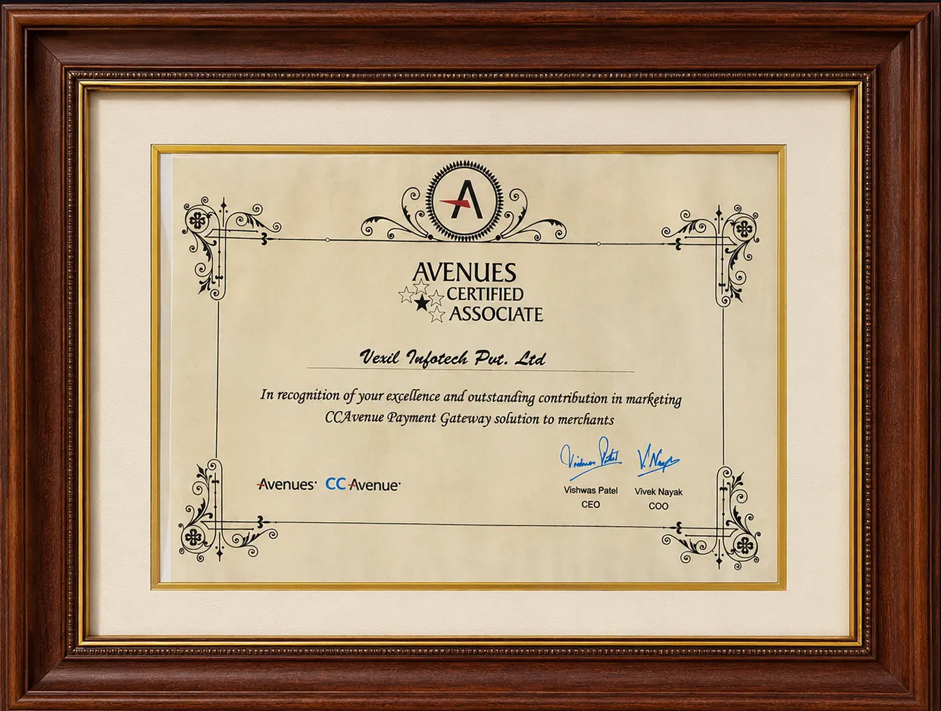 CCAvenue Avenues Certified Associate certificate for Vexil Infotech