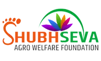 Our Client