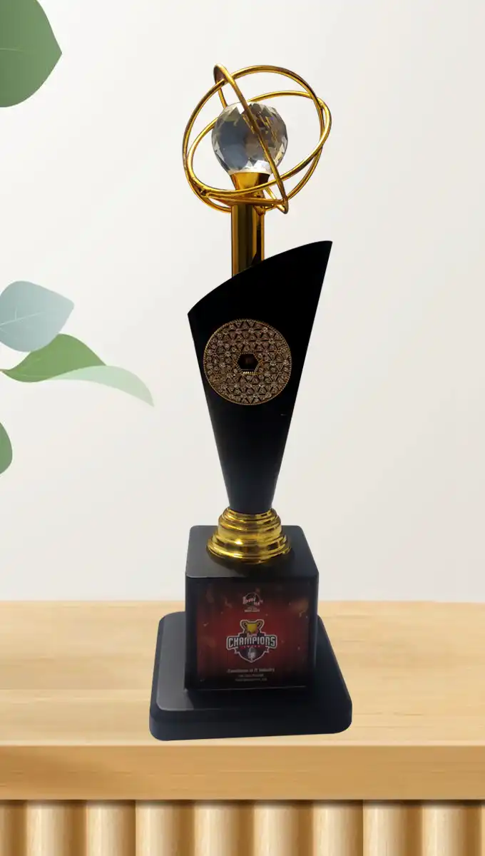 Excellence in IT Industry Award